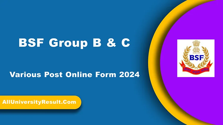 BSF Group B & C Various Post Online Form 2024